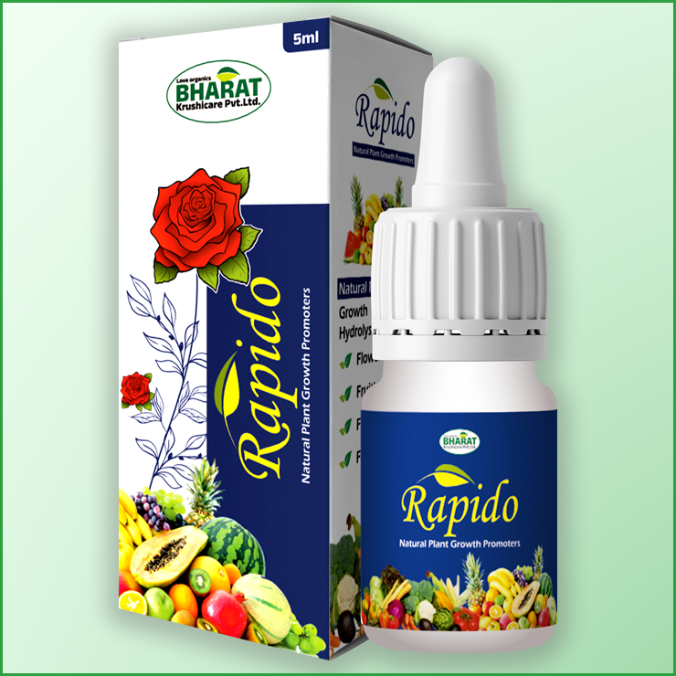 Manufacturer of Rapido in Ahmedabad