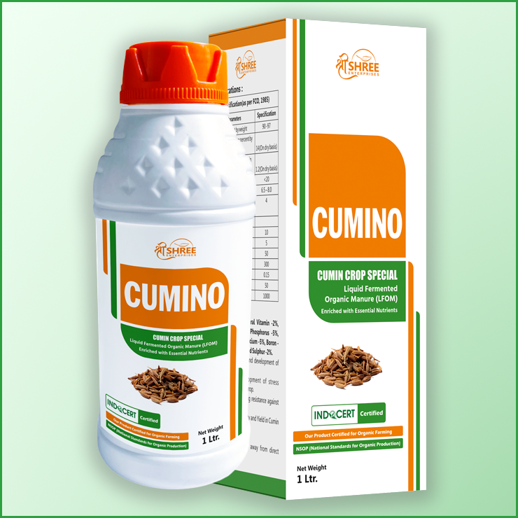 Manufacturer of Cumino in Ahmedabad
