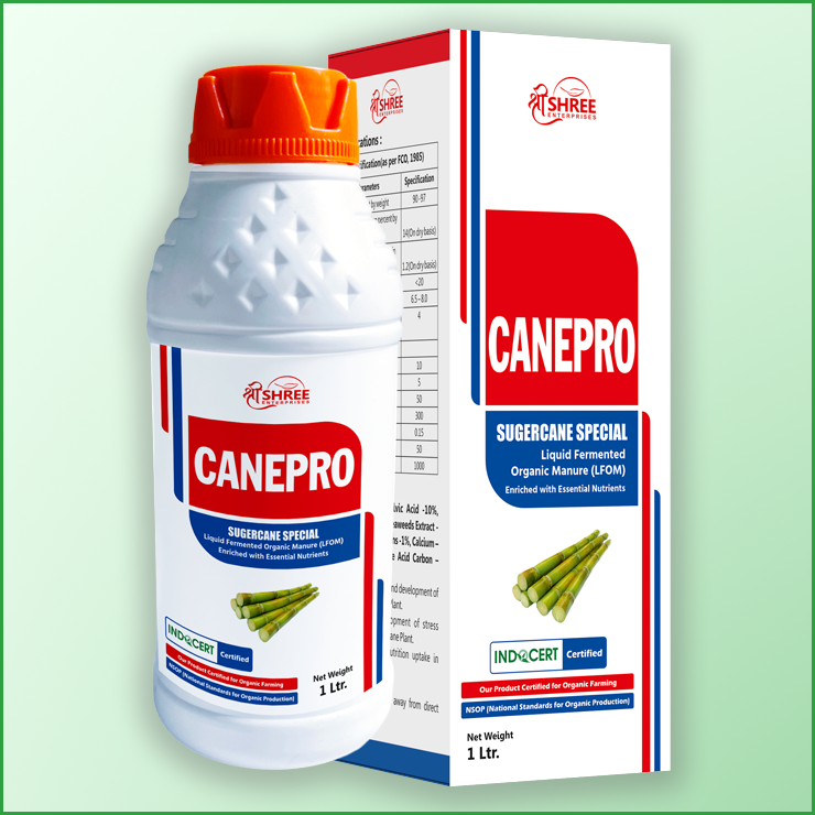 Manufacturer of Canepro in Ahmedabad
