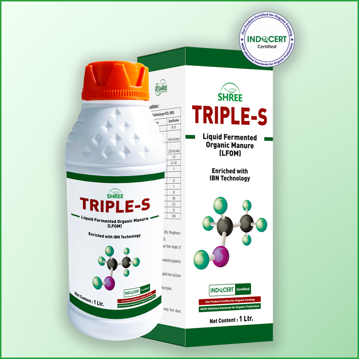 Manufacturer of Triple S in Ahmedabad